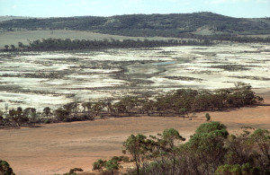"Valley of Salt" - Salinity in the Western Australian wheatbelt near Bruce Rock, WA.